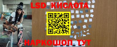 ПСИЛОЦИБИНОВЫЕ ГРИБЫ Кандалакша